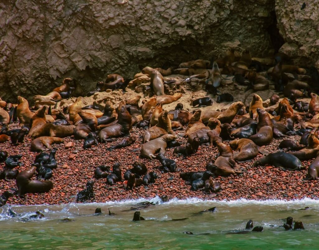 Ballestas Islands