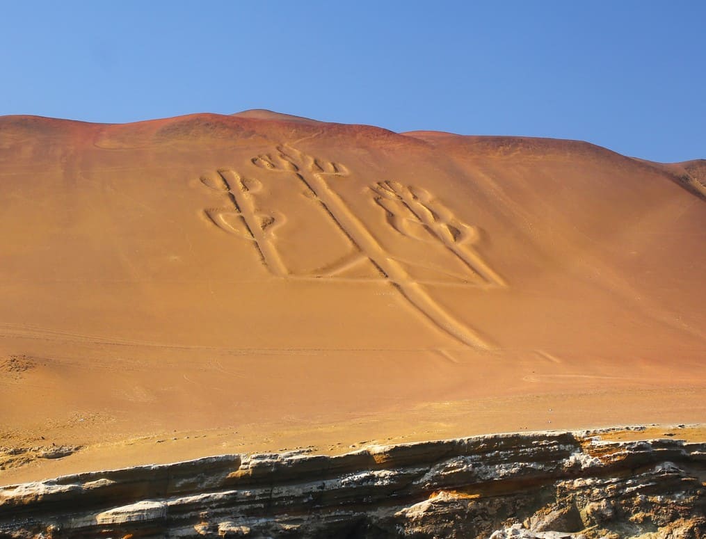 Candelabros del desierto