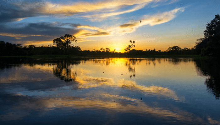 Iquitos 